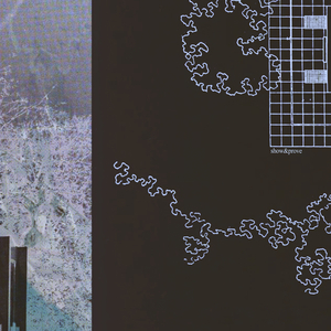 成人免费无码视频
