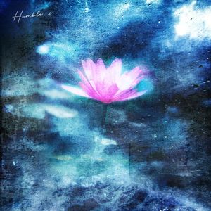 成人免费无码视频
