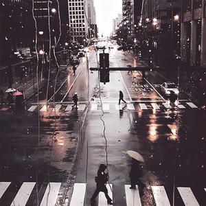 成人免费无码视频
