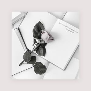 成人免费无码视频
