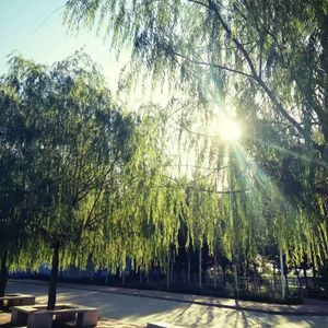 成人免费无码视频
